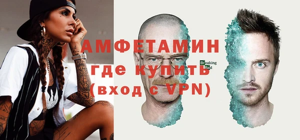 крисы Козловка