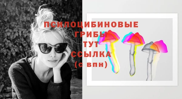 прущая мука Кодинск