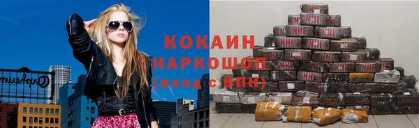 крисы Козловка