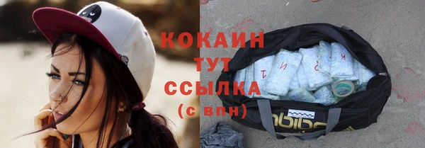 крисы Козловка