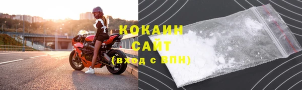крисы Козловка