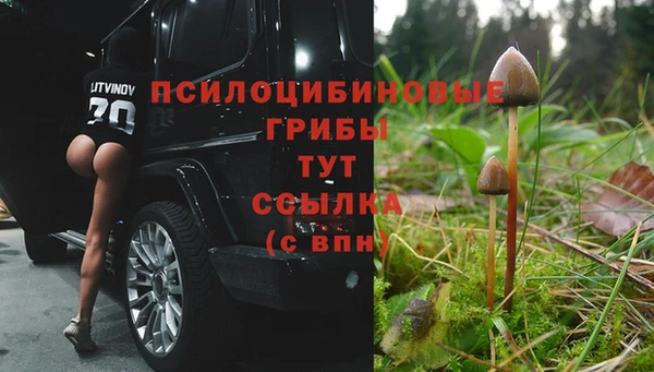 крисы Козловка