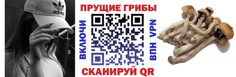 наркотики  кракен рабочий сайт  Галлюциногенные грибы GOLDEN TEACHER  Эртиль 